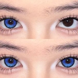 Coloredeye Butterfly Petal Blue Colored Contact Lenses丨6 Months