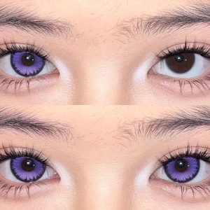 Coloredeye Butterfly Petal Violet Colored Contact Lenses丨6 Months