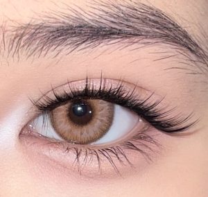 Coloredeye Nocturne Brown Prescription Colored Contact Lenses丨6 Months