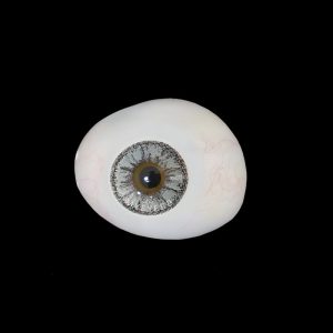 Coloredeye Vika Tricolor Dolce Grey Prescription Colored Contact Lenses