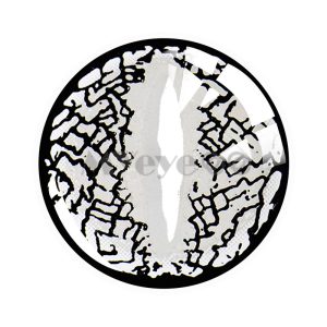 Coloredeye Blind Lizard Eye Sliver Cosplay Colored Contact Lenses