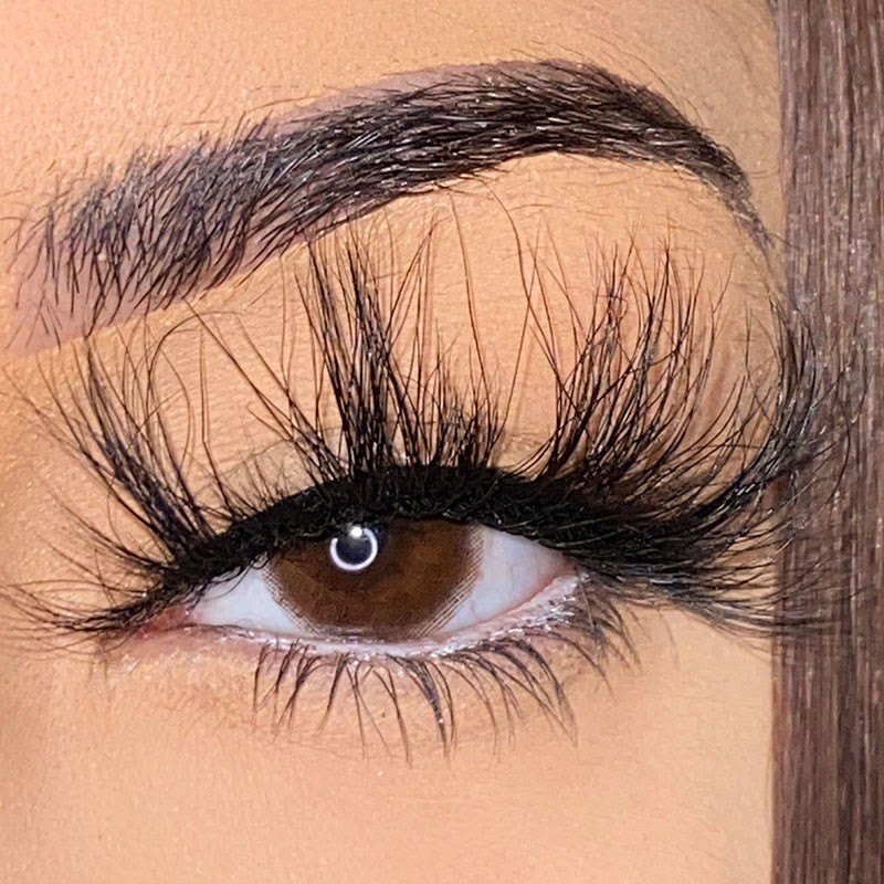 72d02555410cdfd5254c58bfdbb8d8d3-a650e4a2-e581-460a-b30f-4564229ee2b4_1800x-3